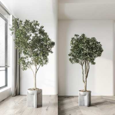 现代植物盆栽3D模型下载